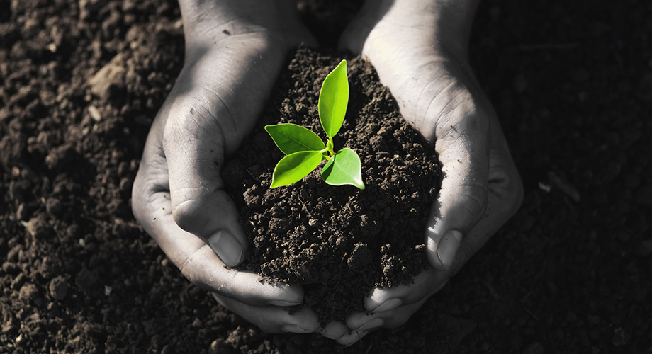 사회복지법인 마곡